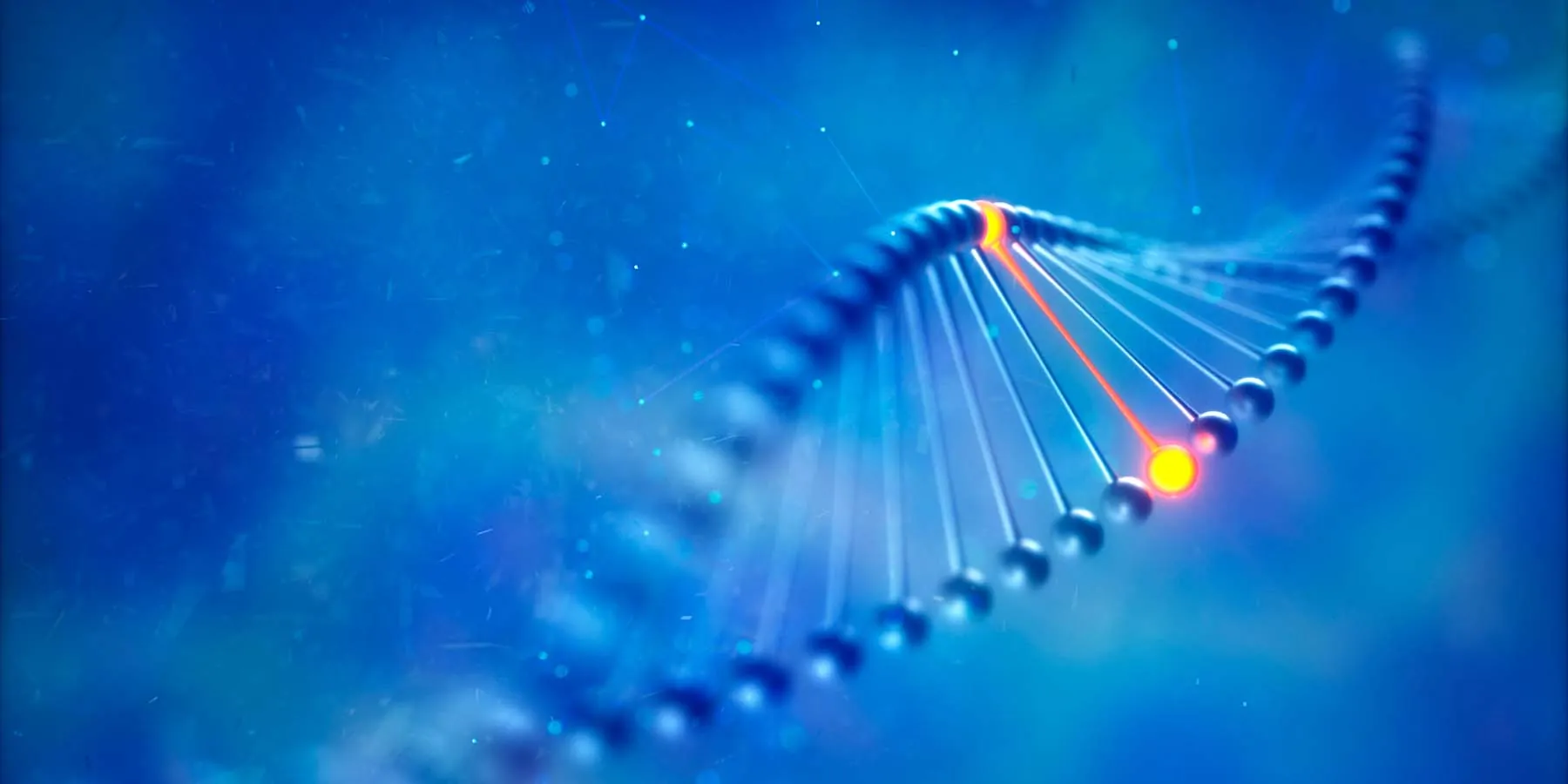 Illustration of an RNA molecule message from the placenta.