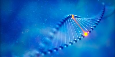 Illustration of an RNA molecule message from the placenta.