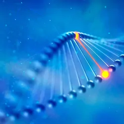 Illustration of an RNA molecule message from the placenta.