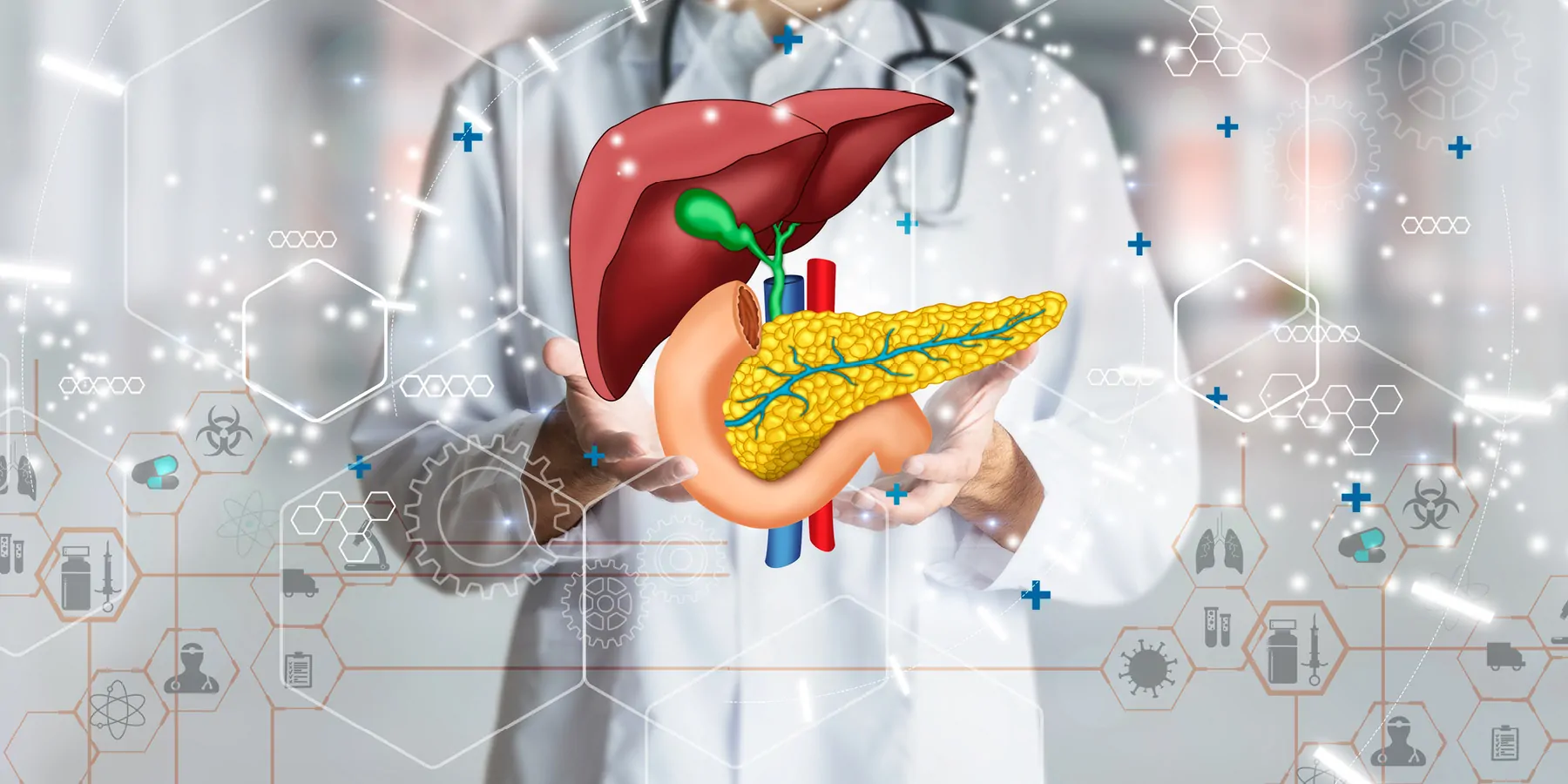 Doctor holding hologram of human liver system