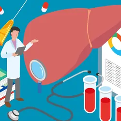 Isometric illustration of a liver test