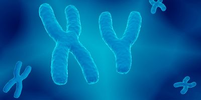 Computer render of XY chromosome pair, male 23, on blue background