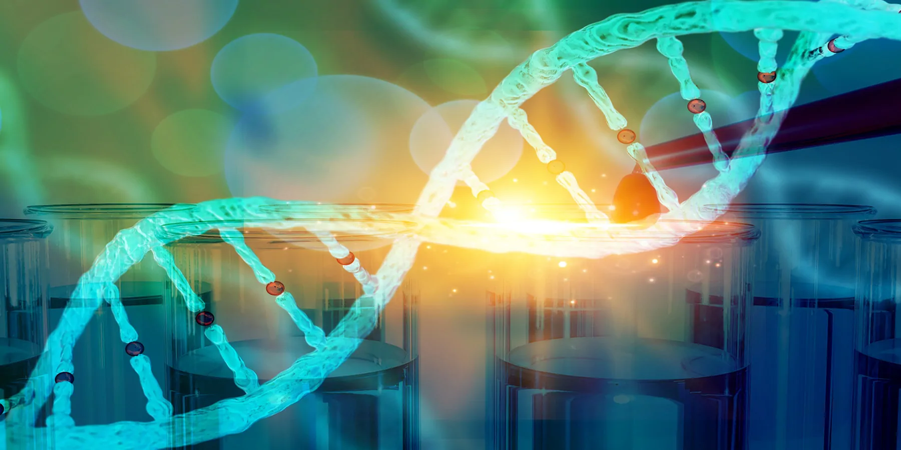 DNA research concept DNA barcodes for biomedical research