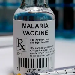 Malaria vaccine bottle with needle on table