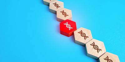  Damaged strand of DNA chain made of wooden blocks