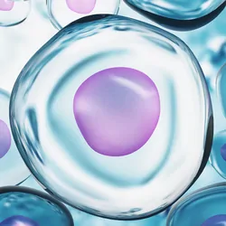 Computer render of cells or embryos under microscope