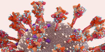 SARS-CoV-2 Spike Protein glycan shield, 3d render
