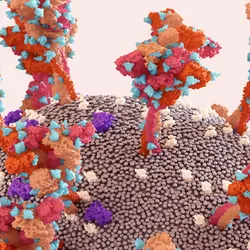 SARS-CoV-2 Spike Protein glycan shield, 3d render