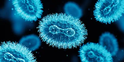 Monkeypox Virus. 3D Render, blue