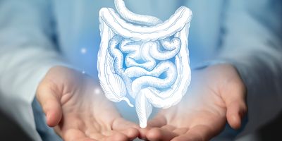 Intestine issues medical concept