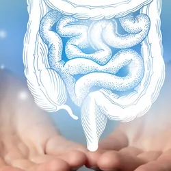 Intestine issues medical concept