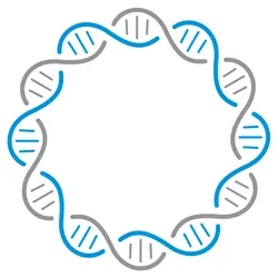 Simple illustration of DNA chain circle