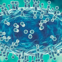Computer render of a monkeypox virus, on a blue backdrop