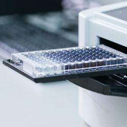 An ELISA plate reader used to observe expression in samples