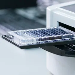 An ELISA plate reader used to observe expression in samples