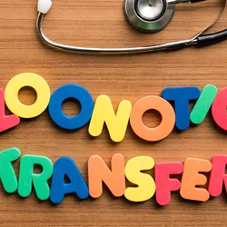 zoonotic transfer colorful word with stethoscope on wooden background