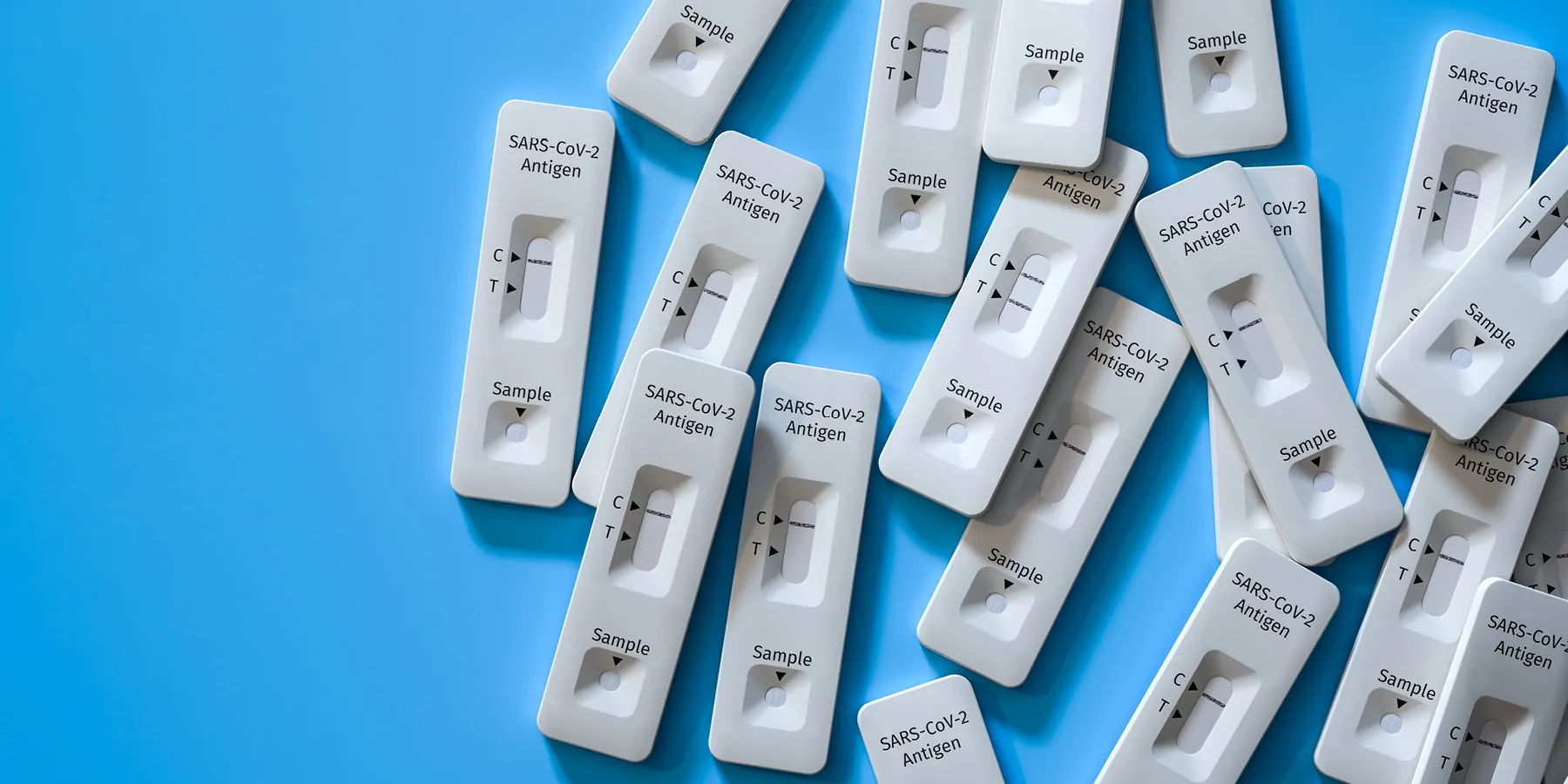 Several rapid antigen test kits on a blue background
