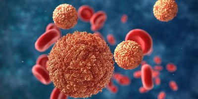 Zika virus in blood with red blood cells, computer render