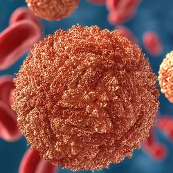 Zika virus in blood with red blood cells, computer render
