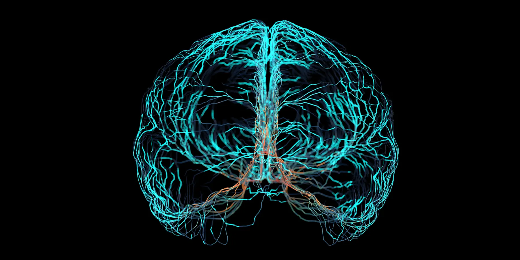 Render of a human brain with blue lines and negative space, on a black background
