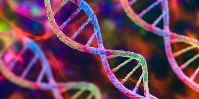 Molecule of DNA, double helix, 3D illustration