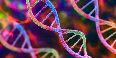 Molecule of DNA, double helix, 3D illustration