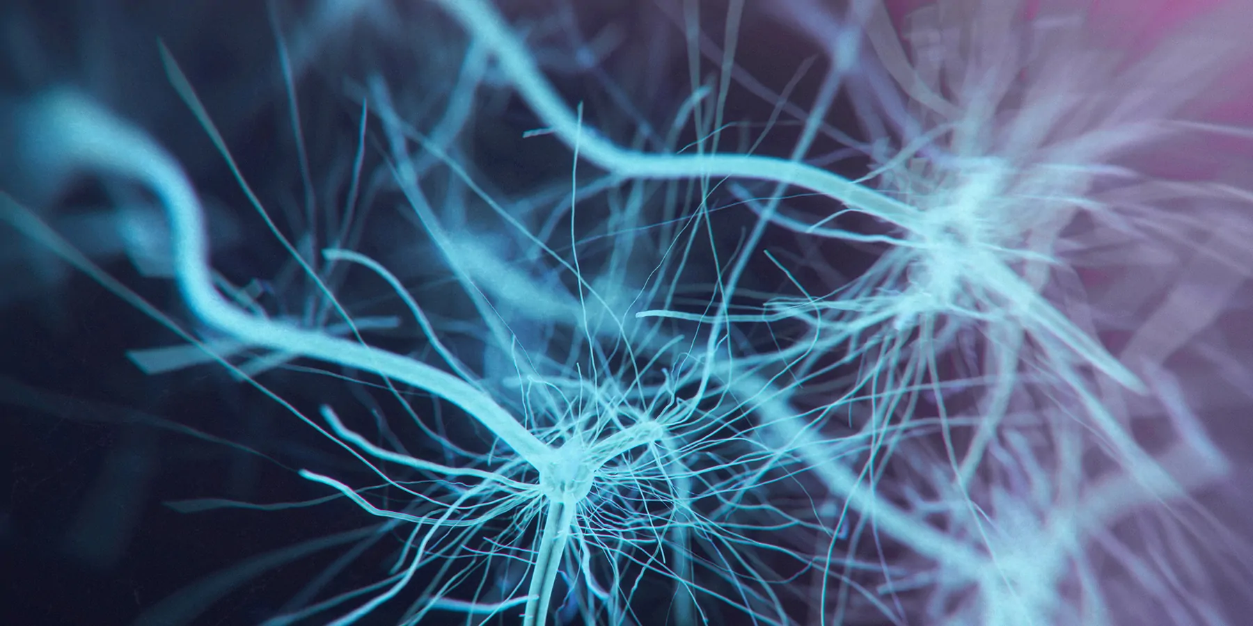 Cause of Motor Neuron Disease Could Be Missed Due to Limits on Genetic Testing Computer render of neurons