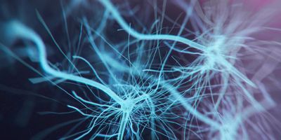 Computer render of neurons