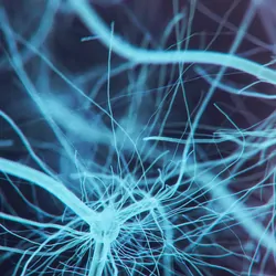 Computer render of neurons