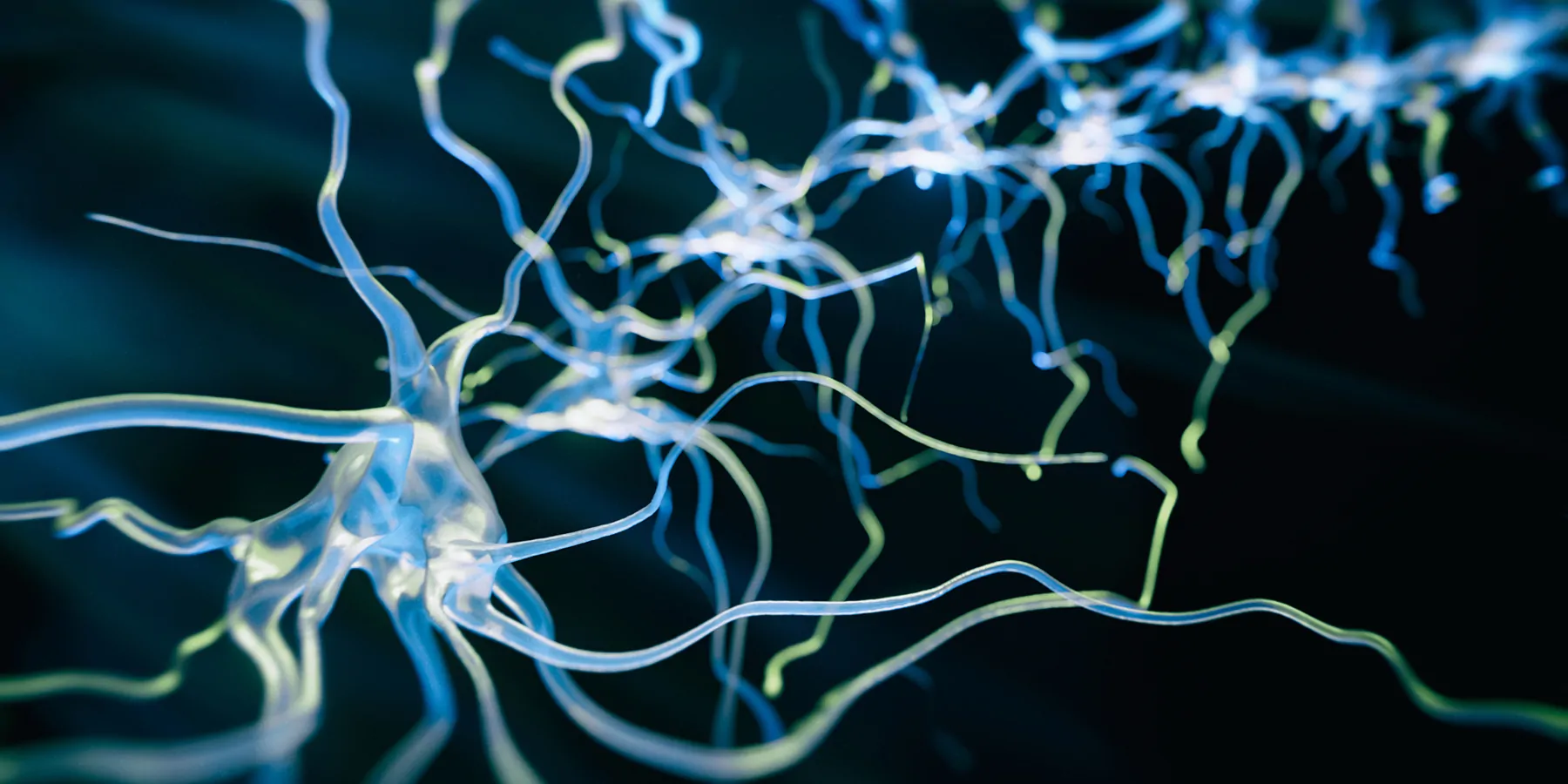 Neuron cell close-up view - 3d rendered image