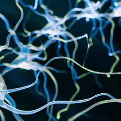 Neuron cell close-up view - 3d rendered image
