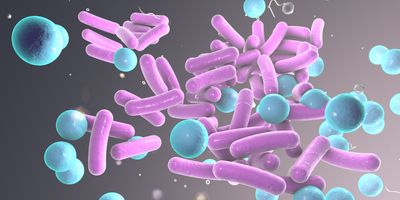 Computer image of rod and ball shaped bacteria in purple and blue
