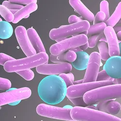 Computer image of rod and ball shaped bacteria in purple and blue