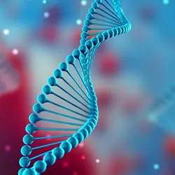 Illustration of a DNA molecule.