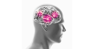 Computer image of human brain and a mans face, side on. On a white background