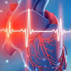 computer generated image of a human heart and cardiogram on a blue background