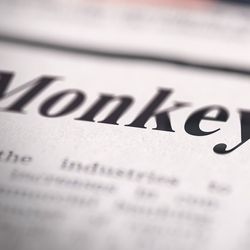 The Evolving Epidemiology of Monkeypox