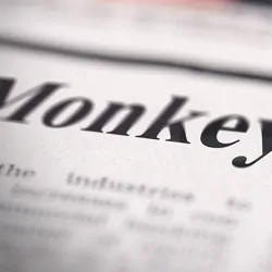 Photo of a newspaper head that reads "Monkeypox."