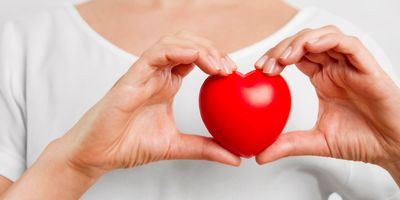 Young women holding a plastic heart over her chest