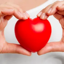 Young women holding a plastic heart over her chest