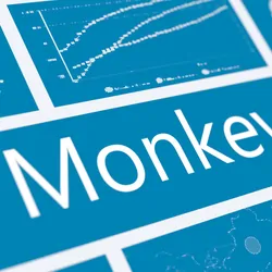 Word monkeypox, digital concept