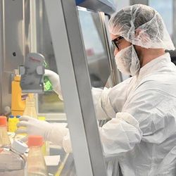 Photo of a clinical professional wearing PPE sitting at a biological safety cabinet preparing the gene therapy.