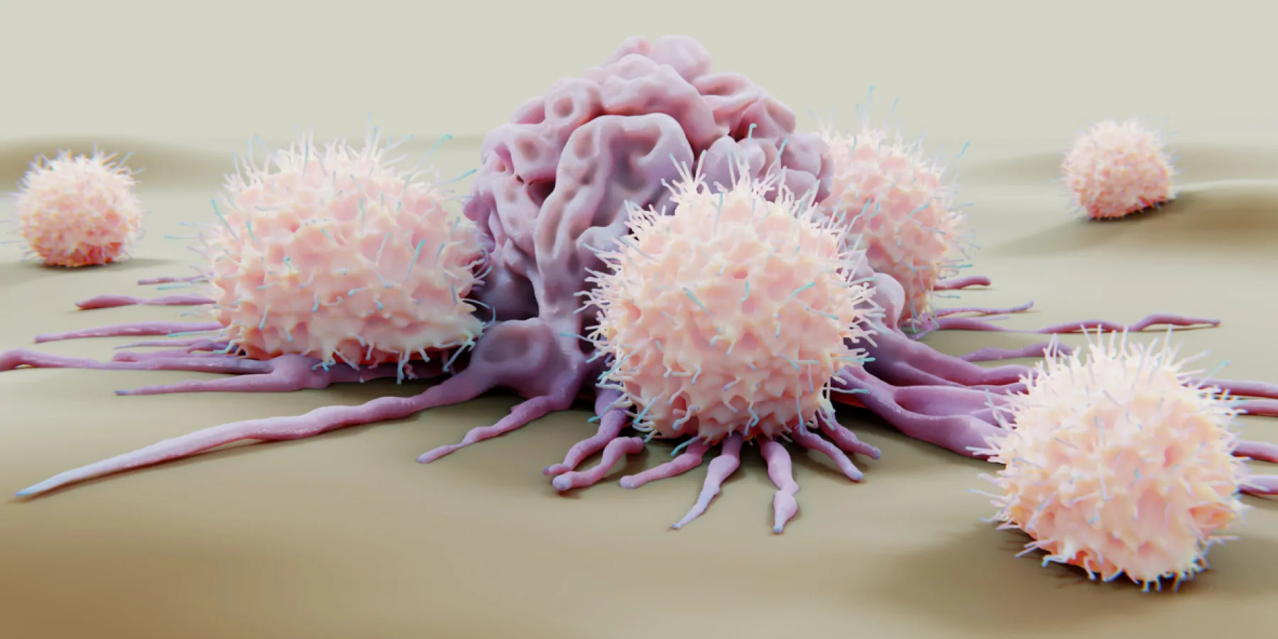 Computer image of immune cells attacking a cancer cell