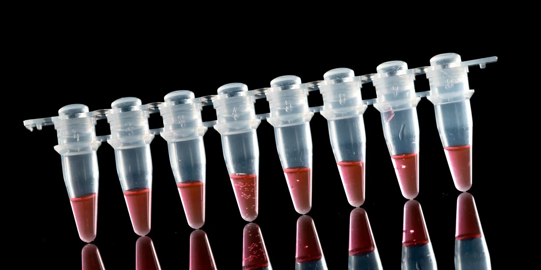 Photo of droplet digital PCR tubes against a black background.