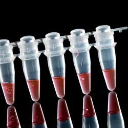 Photo of droplet digital PCR tubes against a black background.