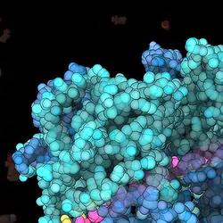 3D illustration of a large helicase enzyme interacting with the DNA double helix as part of the amplification process. 