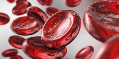 Computer render of red blood cells on a white background
