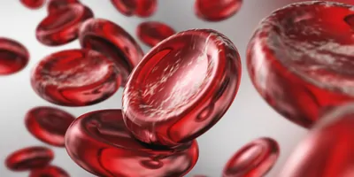 Computer render of red blood cells on a white background