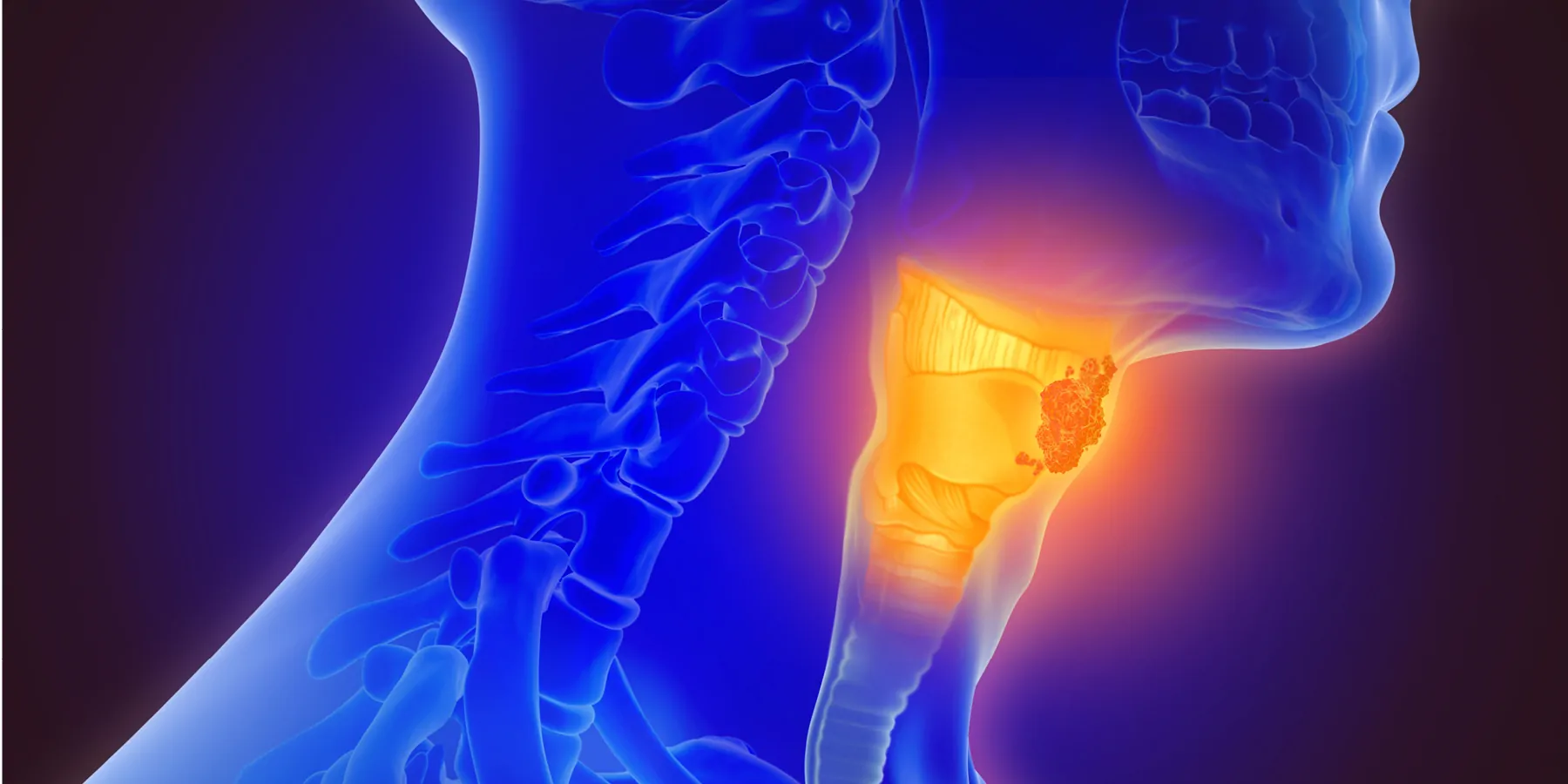 Computer render of a human throat with the vocal cords glowing