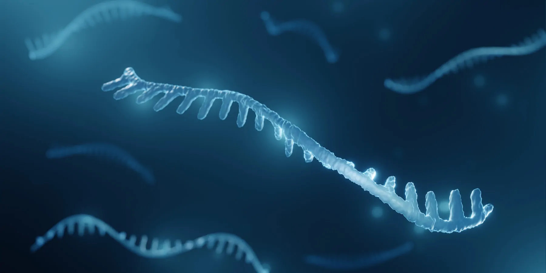 Computer image of RNA floating in a blue substrate